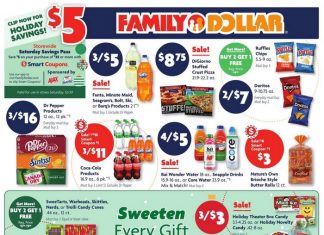 Family Dollar Weekly Ad Dec 14 – Dec 20, 2025 (Christmas Promotion Included)