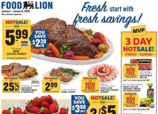 Food Lion Weekly Ad Jan 01 – Jan 06, 2026