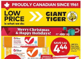 Giant Tiger Weekly Ad Dec 25 – Dec 30, 2025 (Christmas Promotion Included)