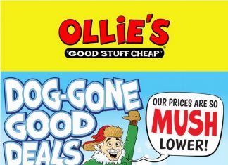 Ollie’s Weekly Ad Dec 02 – Dec 05, 2025