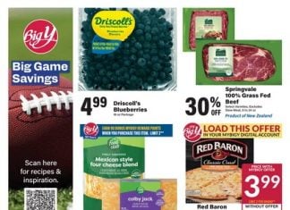 Big Y Weekly Ad Jan 22 – Jan 28, 2026