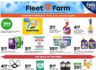 Fleet Farm Weekly Ad Jan 19 – Jan 25, 2026