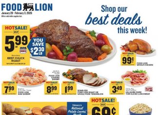 Food Lion Weekly Ad Jan 28 – Feb 03, 2026