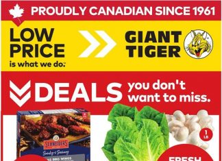 Giant Tiger Weekly Ad Jan 28 – Feb 03, 2026 (Valentine’s Day Promotion Included)