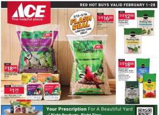 ACE Hardware Monthly Ad Feb 01 – Feb 28, 2026
