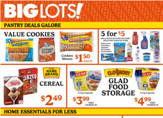 Big Lots Weekly Ad Feb 15 – Feb 21, 2026