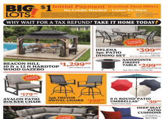 Big Lots Weekly Ad Feb 22 – Mar 07, 2026