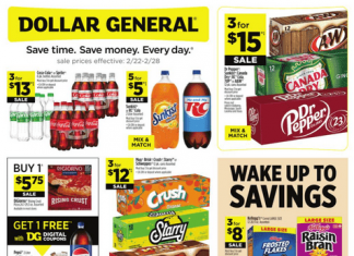 Dollar General Weekly Ad Feb 22 – Feb 28, 2026