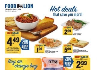 Food Lion Weekly Ad Feb 25 – Mar 03, 2026