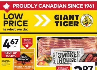 Giant Tiger Weekly Ad Feb 18 – Feb 24, 2026