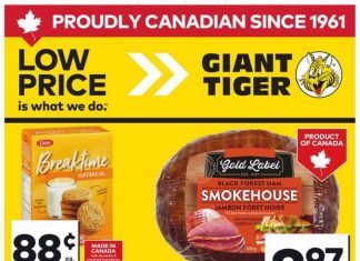 Giant Tiger Weekly Ad Feb 25 – Mar 03, 2026
