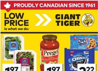 Giant Tiger Weekly Ad Mar 04 – Mar 10, 2026