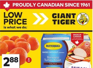 Giant Tiger Weekly Ad Mar 18 – Mar 24, 2026 (Easter Promotion Included)
