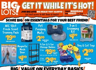 Big Lots Weekly Ad Apr 16 – Apr 22, 2026