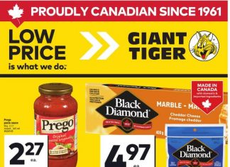 Giant Tiger Weekly Ad Apr 15 – Apr 21, 2026