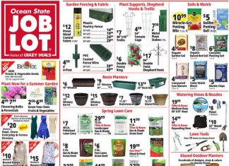 Ocean State Job Lot Weekly Ad Apr 23 – Apr 29, 2026