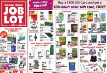 Ocean State Job Lot Weekly Ad Apr 30 – May 06, 2026 (Mother’s Day Promotion Included)
