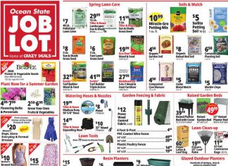 Ocean State Job Lot Weekly Ad Apr 16 – Apr 22, 2026