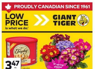 Giant Tiger Weekly Ad May 06 – May 12, 2026 (Mother’s Day Promotion Included)