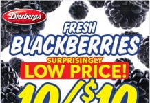 Dierbergs Markets Weekly Ad Jun 23 – Jun 29, 2026 (Independence Day Promotion Included)
