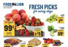 Food Lion Weekly Ad Jun 03 – Jun 09, 2026
