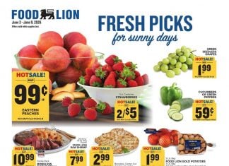 Food Lion Weekly Ad Jun 03 – Jun 09, 2026
