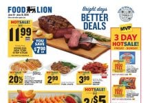Food Lion Weekly Ad Jun 10 – Jun 16, 2026