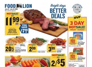 Food Lion Weekly Ad Jun 10 – Jun 16, 2026