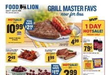 Food Lion Weekly Ad Jun 17 – Jun 23, 2026 (Father’s Day Promotion Included)