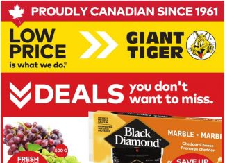 Giant Tiger Weekly Ad Jun 03 – Jun 09, 2026 (Father’s Day Promotion Included)