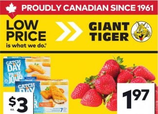 Giant Tiger Weekly Ad Jun 10 – Jun 16, 2026 (Father’s Day Promotion Included)