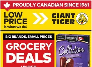 Giant Tiger Weekly Ad Jun 17 – Jun 23, 2026