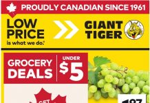 Giant Tiger Weekly Ad Jun 24 – Jun 30, 2026
