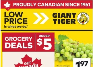 Giant Tiger Weekly Ad Jun 24 – Jun 30, 2026