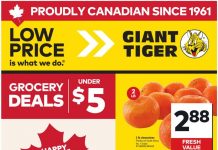 Giant Tiger Weekly Ad Jul 01 – Jul 07, 2026