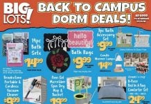 Big Lots Weekly Ad Jul 16 – Jul 22, 2026