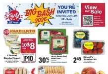 Big Y Weekly Ad Jul 09 – Jul 15, 2026