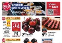 Big Y Weekly Ad Jul 16 – Jul 22, 2026