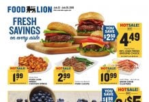 Food Lion Weekly Ad Jul 22 – Jul 28, 2026 (Back to School & Summer Sale Promotion Included)