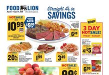 Food Lion Weekly Ad Aug 05 – Aug 11, 2026