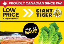 Giant Tiger Weekly Ad Aug 05 – Aug 11, 2026
